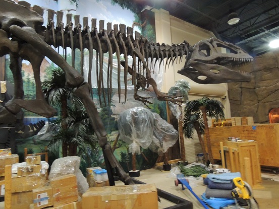 Dinosaur store and museum - Cocoa Beach - Nov. 15. 2014 007