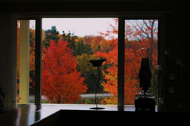 Autumn - Indian Summer - from a Canadian window